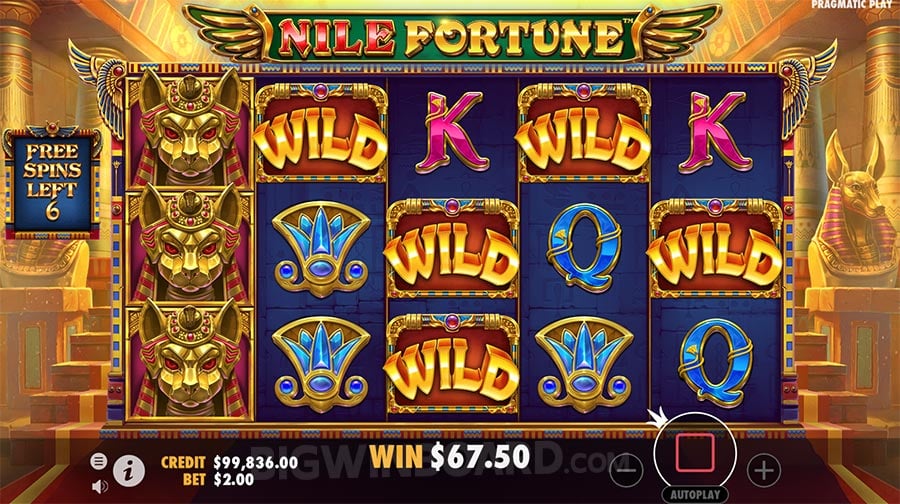 Nil-Glücksspiel-Einblick